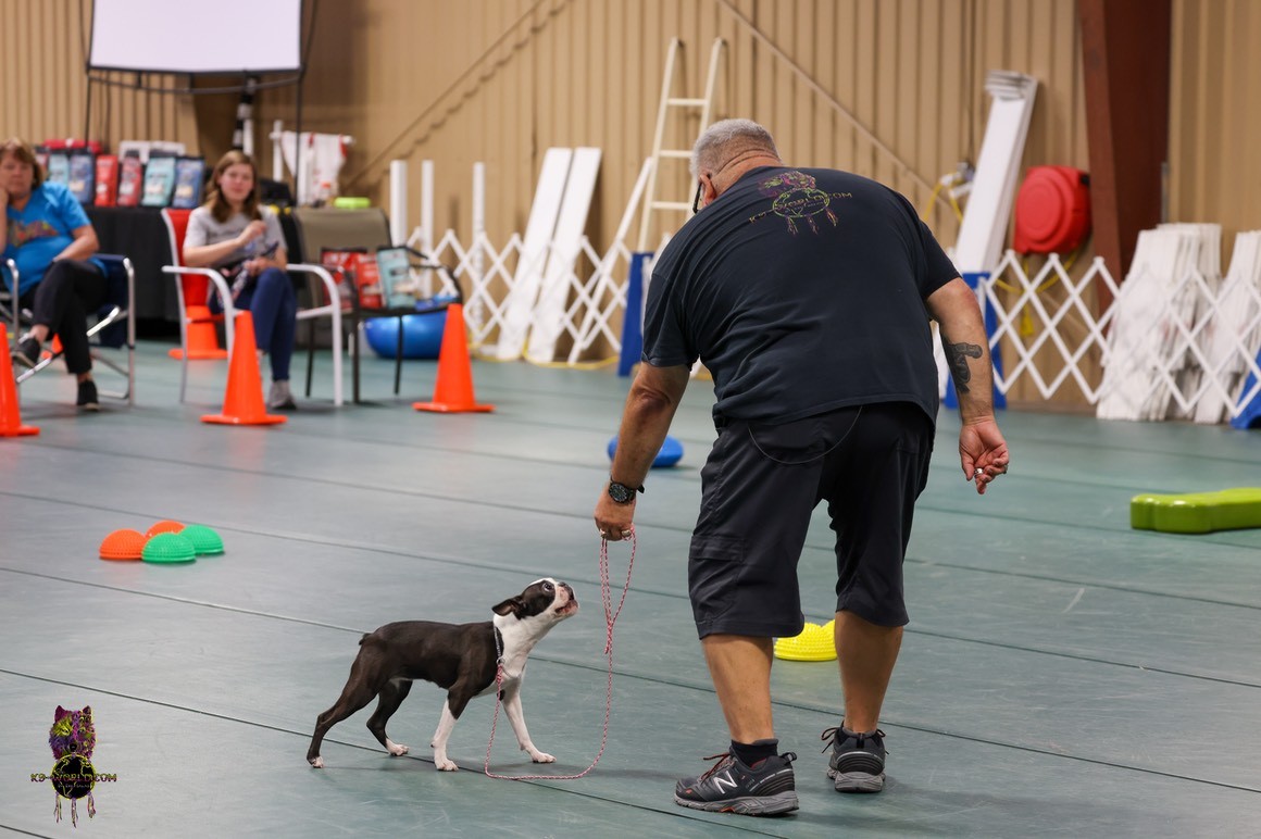 Eric Salas Training Dog